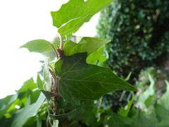 Teilen statt kaufen!