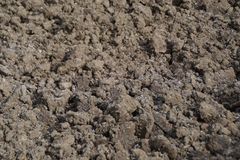 Für einen guten Start ins Frühjahr