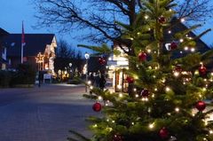 B&auml;umchen wechsel dich