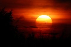 Sommersonnenwende und kalendarischer Sommeranfang