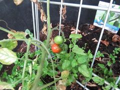 Ab auf die Fensterbank