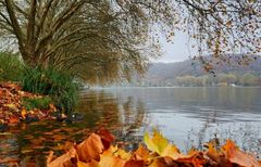 Weiterhin entspannte Lage?