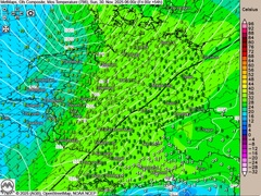 November endet grau und mild