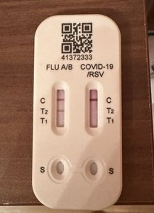 Atemwegsinfektionen im Aufwind