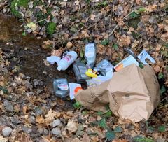 Der Wald als M&uuml;llkippe