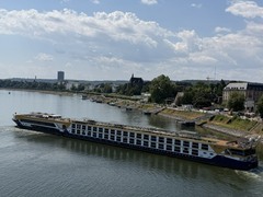 Rheinniedrigwasser fordert Opfer