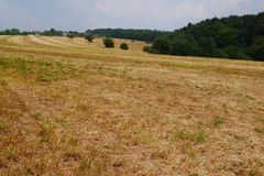 Deutschland zwischen Sommerhitze und Gewittergefahr