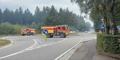 Nach dem Moorbrand im Hohen Venn