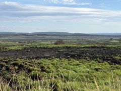 Das Hohe Venn nach dem verheerenden August-Brand