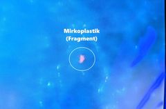 Mikroplastik-Messreihe